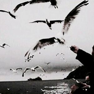 Meet your Posher, Marissa